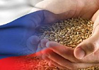 Новосибирская область в 2021 году многократно увеличила экспорт соевых бобов, ржи, ячменя и кукурузы